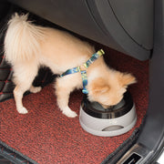 Dog Water Bowl Traveling Car Bowl Anti-skid