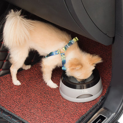 Dog Water Bowl Traveling Car Bowl Anti-skid