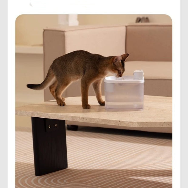 Induction Wireless Cat Water Fountain Large Capacity