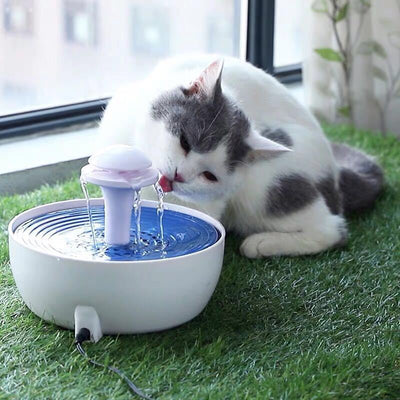 Circulating water fountains Circulating water fountains