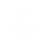 Eco_Aura Store