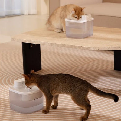 Induction Wireless Cat Water Fountain Large Capacity